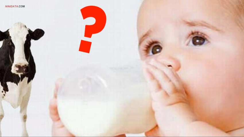 www.ninidata.com | مصرف شیرگاو در شیرخواران و عوارض حساسیتی آن