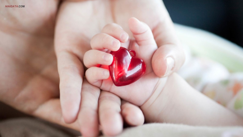 www.ninidata.com | کی به وجود بیماری قلبی در نوزادان و کودکان مشکوک شویم ؟؟؟؟