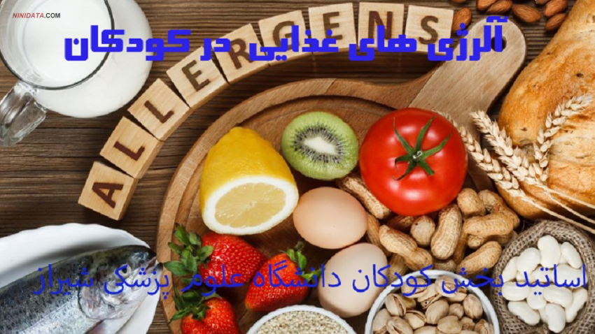 www.ninidata.com | آلرژی های غذایی