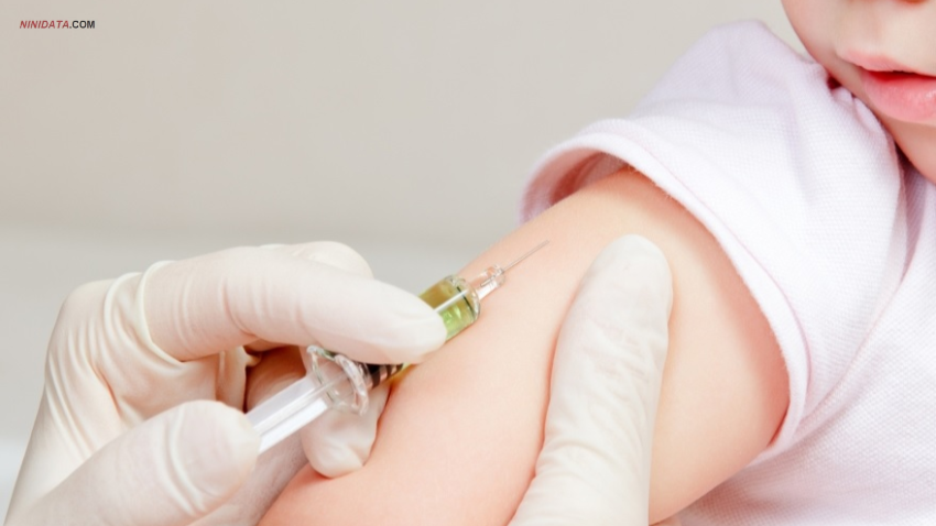 www.ninidata.com | توصیه های پس از تزریق واکسن