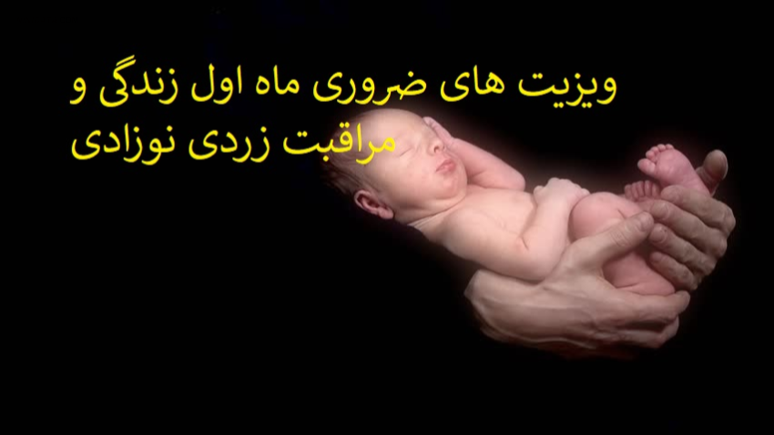 www.ninidata.com | کارت مراقبت نوزاد در ماه اول و مراقبت زردی نوزادی