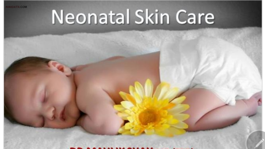 www.ninidata.com | نوزادی و مراقبت از بزرگترین ارگان بدن :پوست