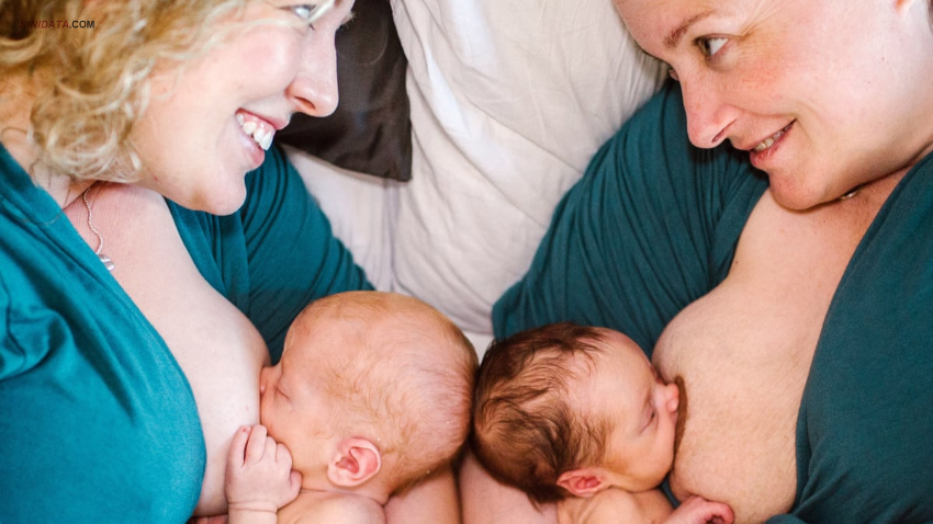 www.ninidata.com | راهکار های افزایش شیر مادر در بخش مراقبت ويژه نوزادان