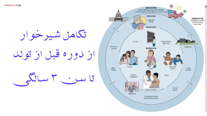 www.ninidata.com | تکامل شیرخوار از دوره قبل از تولد تا سن ۳ سالگی