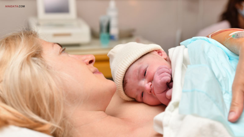www.ninidata.com | تماس پوست به پوست نوزاد و مادر در ثانیه های اول تولد ،نکات مهم و فواید تکاملی