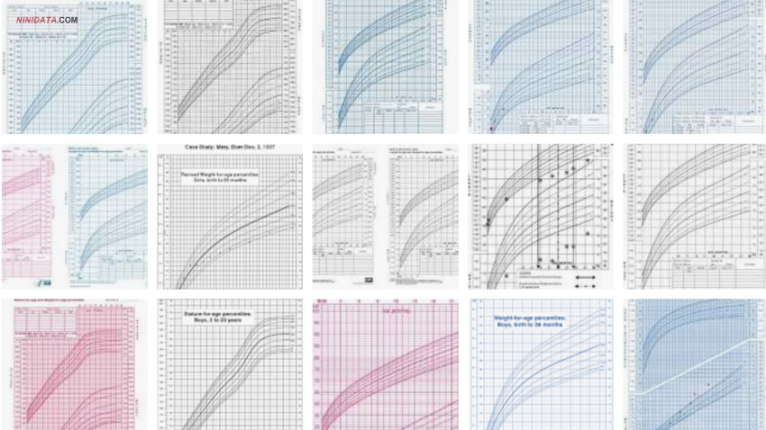 www.ninidata.com | دانلود نرم افزار ترسیم منحنی های رشدی کودک