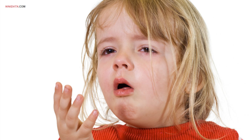 www.ninidata.com | هشت واقعیت در مورد سرفه و سرماخوردگی شیرخوار و کودک