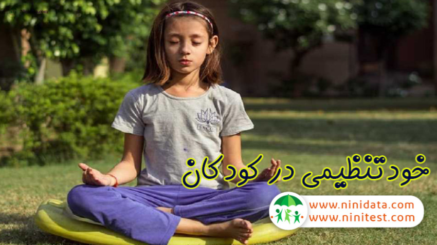 www.ninidata.com | خودتنظیمی کودکان